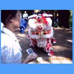 parque-chino-092.jpg