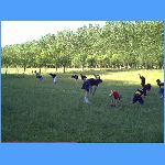 PICT0149.JPG