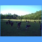 PICT0150.JPG