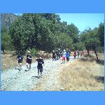 PICT0210.JPG