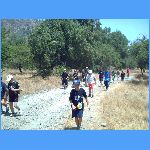 PICT0211.JPG