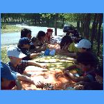 PICT0243.JPG