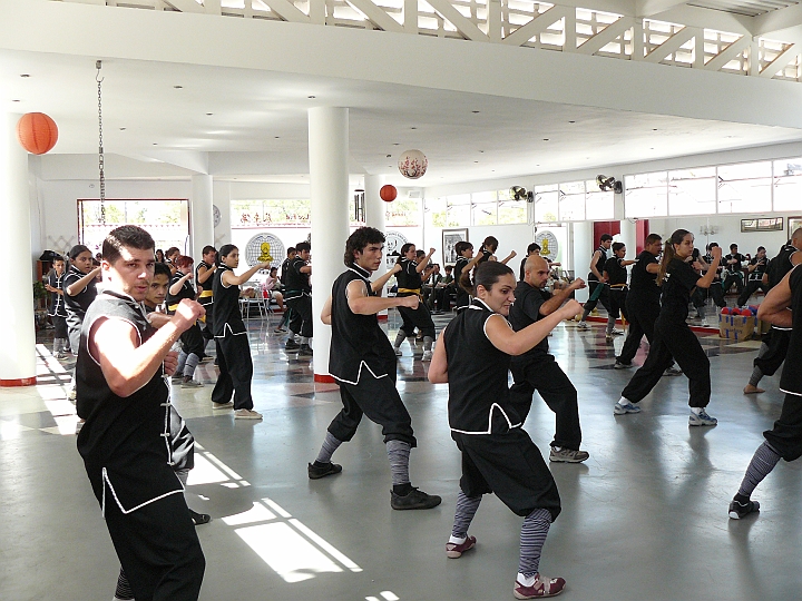 P1000067.JPG