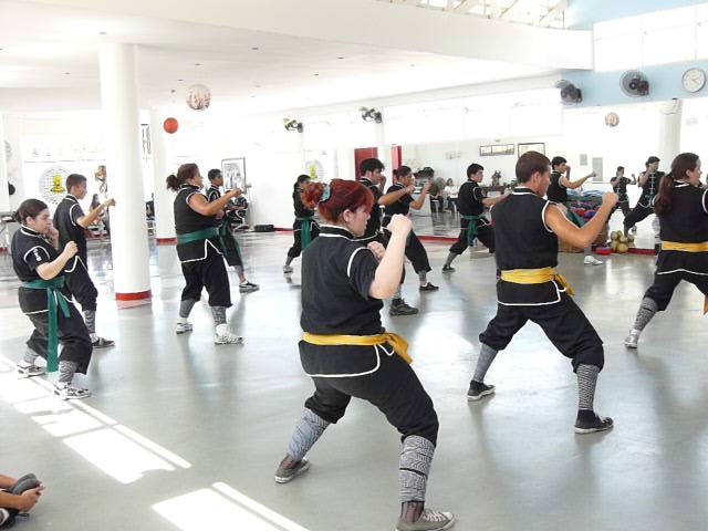 P1000069.JPG