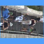 DSC00240.JPG