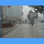DSC00249.JPG