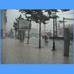 DSC00250.JPG