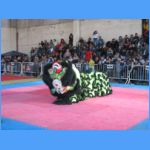 IMG_2430.JPG